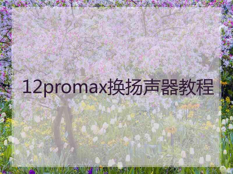 12promax换扬声器教程