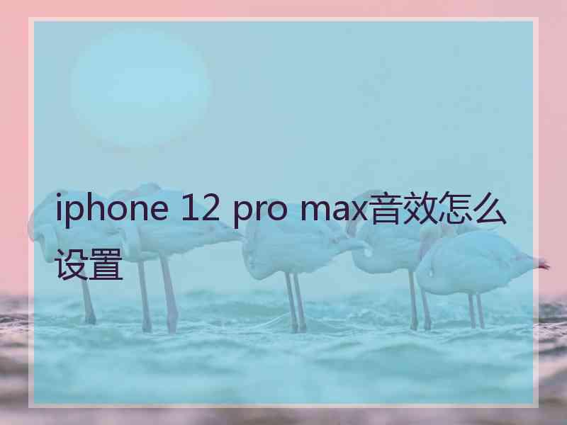 iphone 12 pro max音效怎么设置