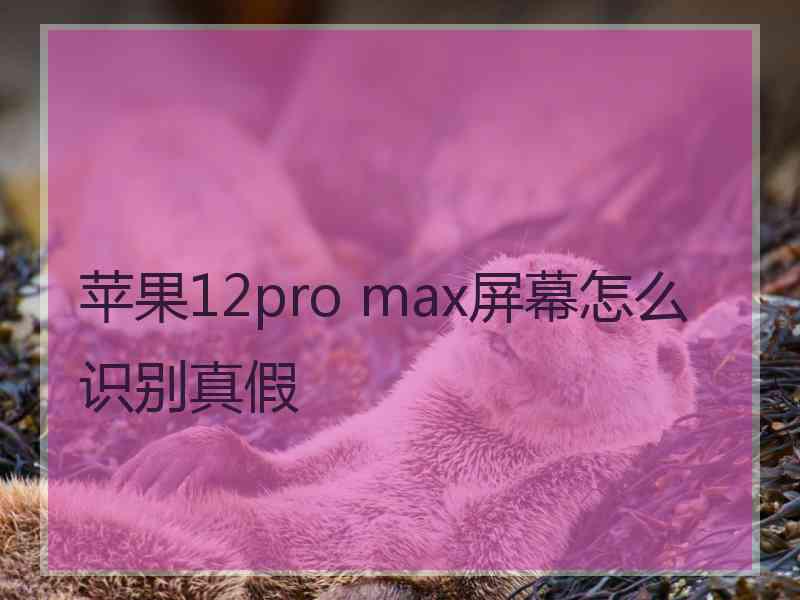 苹果12pro max屏幕怎么识别真假