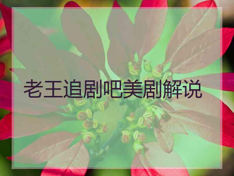 老王追剧吧美剧解说