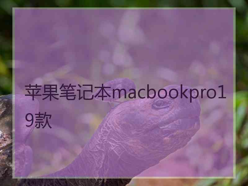 苹果笔记本macbookpro19款