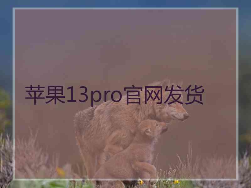 苹果13pro官网发货