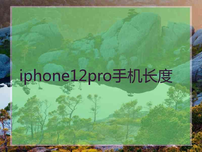 iphone12pro手机长度