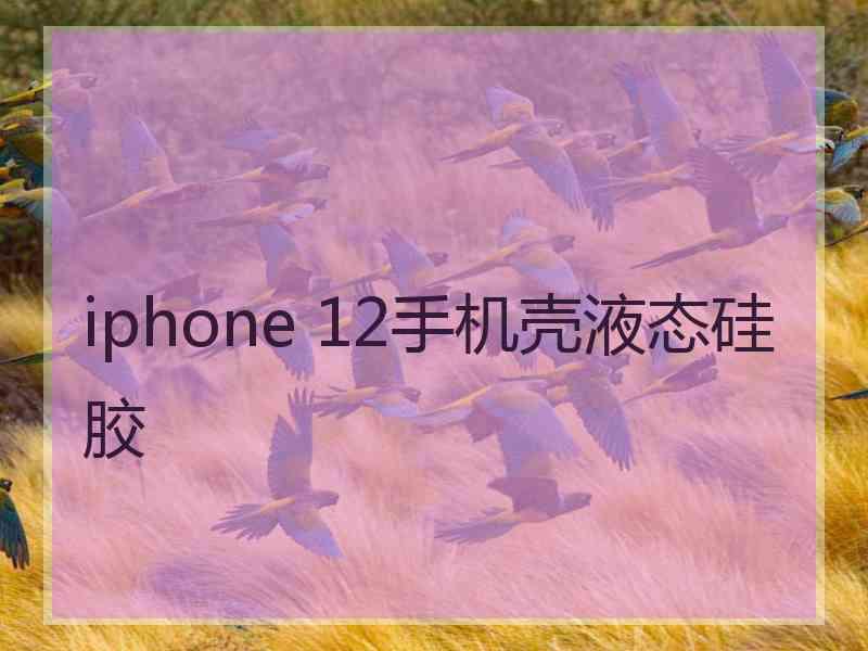 iphone 12手机壳液态硅胶