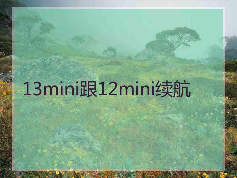 13mini跟12mini续航