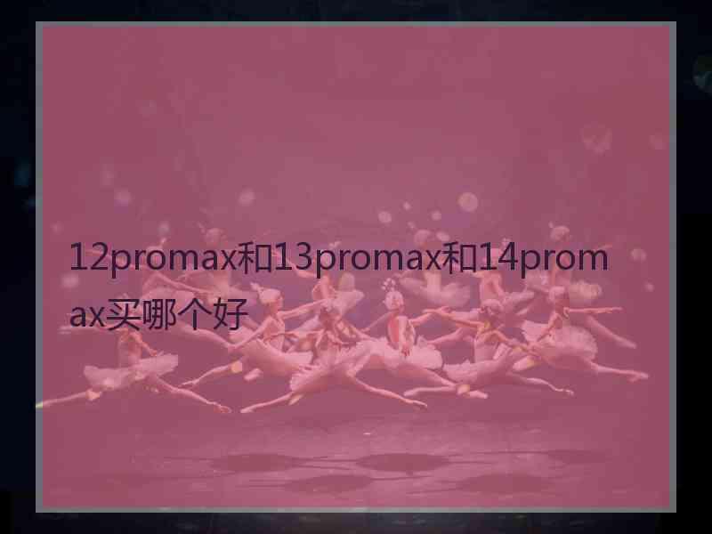 12promax和13promax和14promax买哪个好