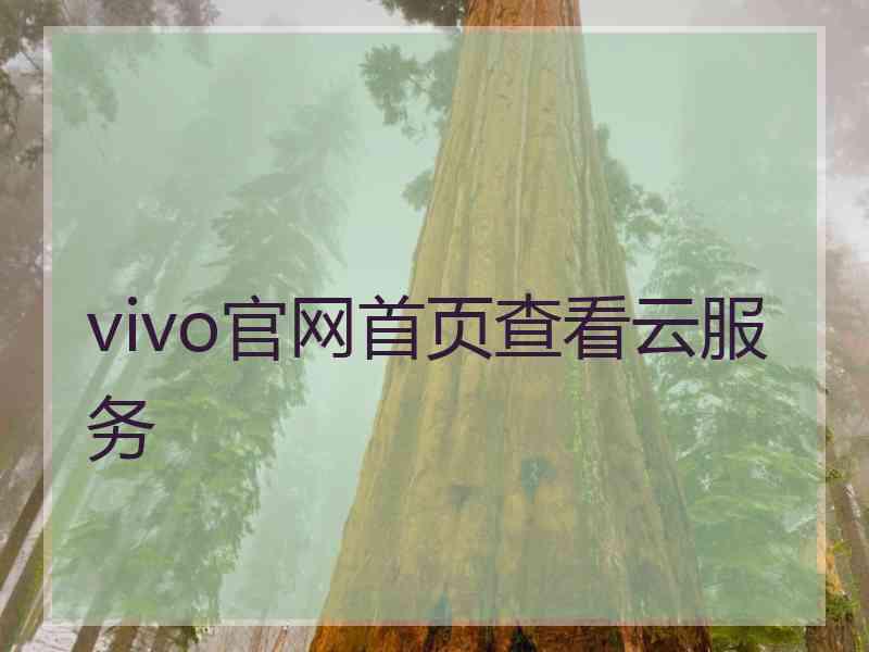 vivo官网首页查看云服务