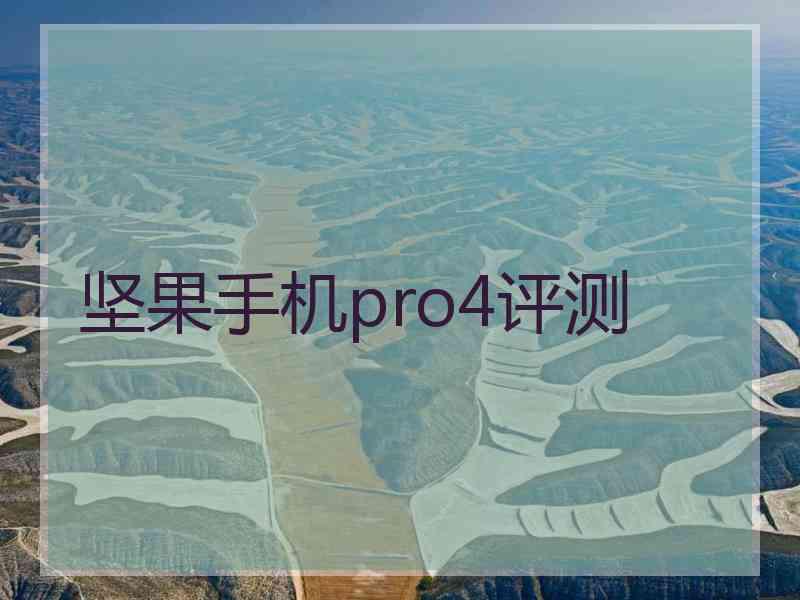 坚果手机pro4评测