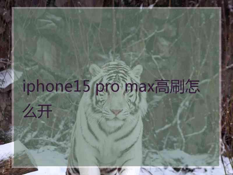 iphone15 pro max高刷怎么开