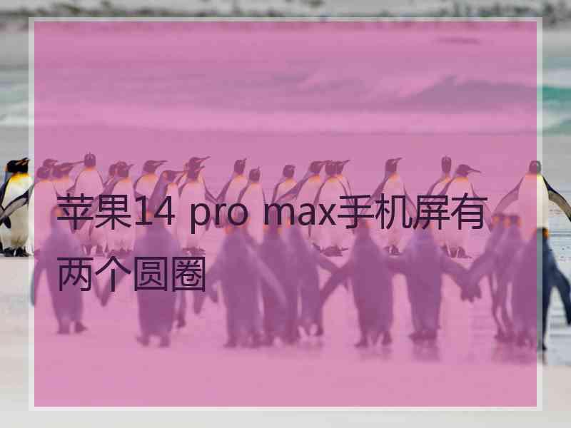 苹果14 pro max手机屏有两个圆圈