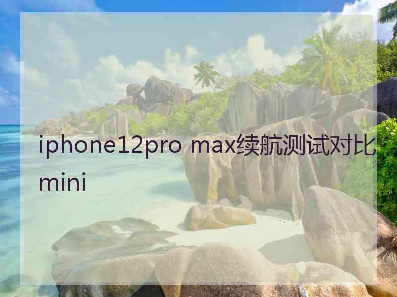 iphone12pro max续航测试对比mini