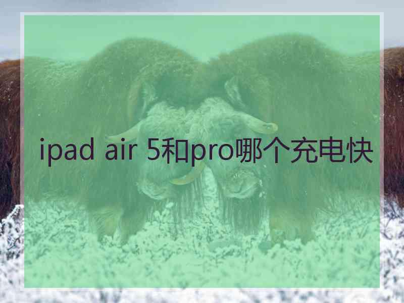 ipad air 5和pro哪个充电快