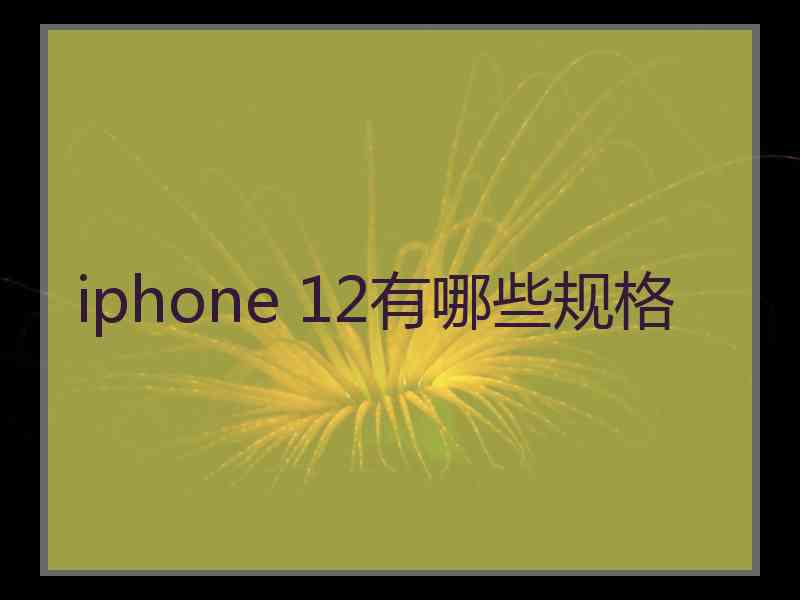 iphone 12有哪些规格