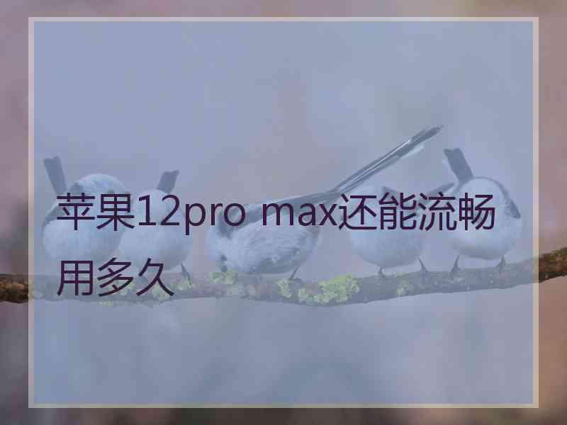 苹果12pro max还能流畅用多久