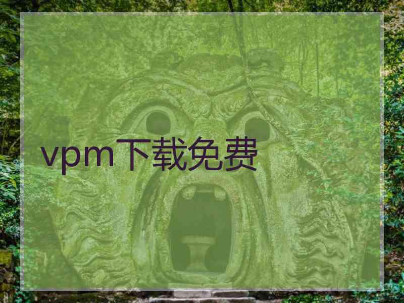 vpm下载免费