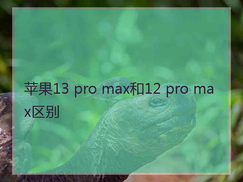 苹果13 pro max和12 pro max区别