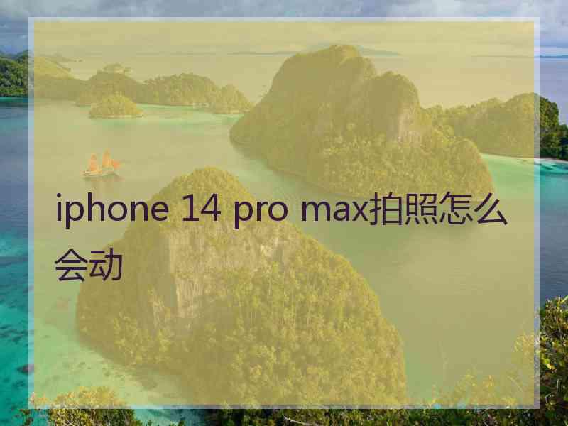 iphone 14 pro max拍照怎么会动