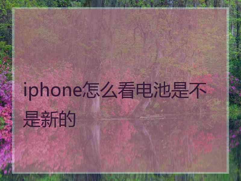 iphone怎么看电池是不是新的