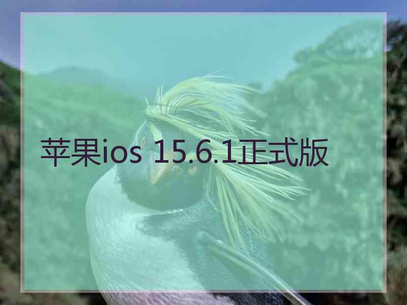 苹果ios 15.6.1正式版