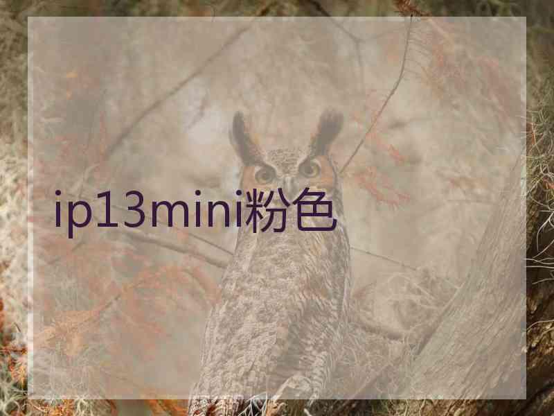 ip13mini粉色