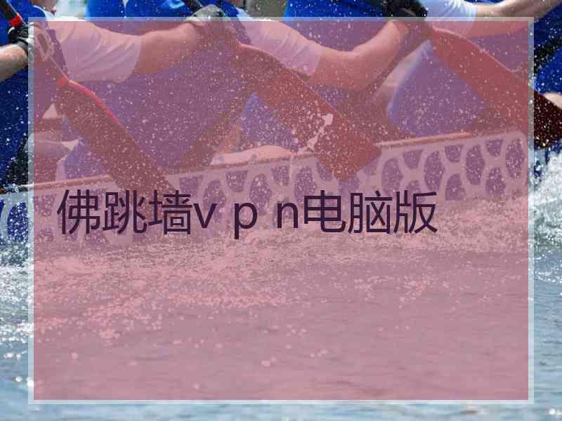 佛跳墙v p n电脑版