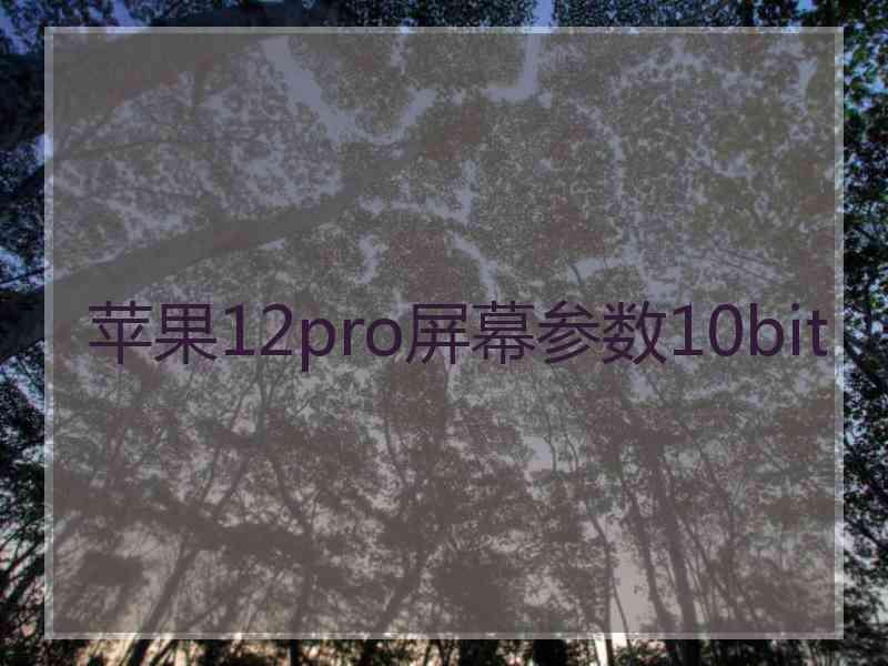 苹果12pro屏幕参数10bit