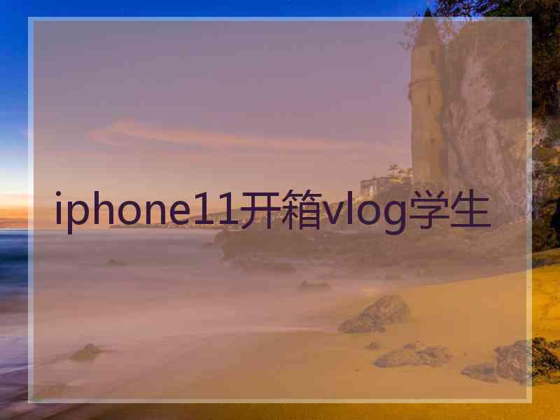 iphone11开箱vlog学生