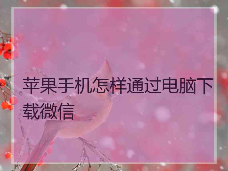 苹果手机怎样通过电脑下载微信