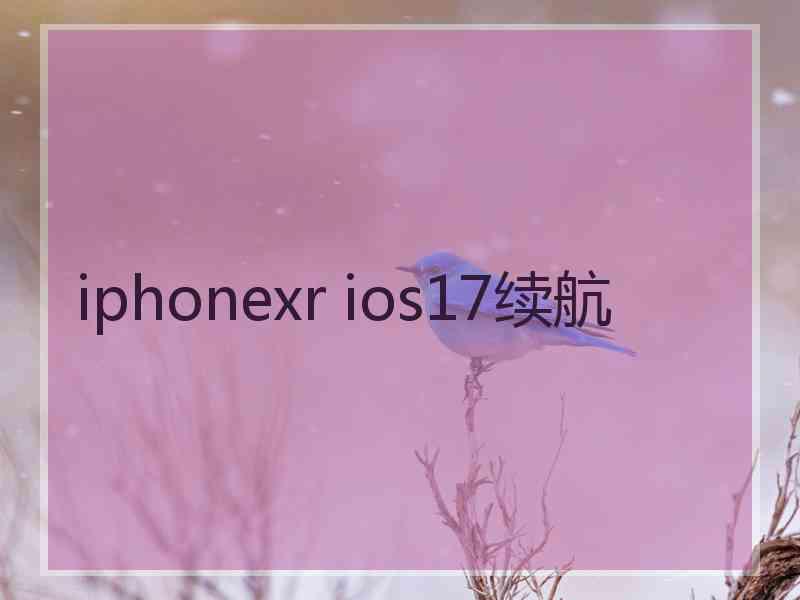 iphonexr ios17续航