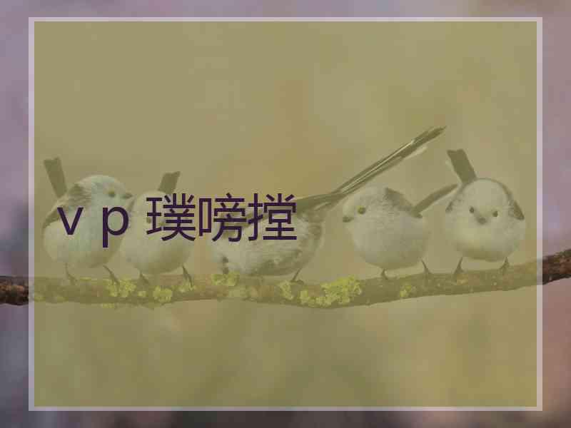 v p 璞嗙摚