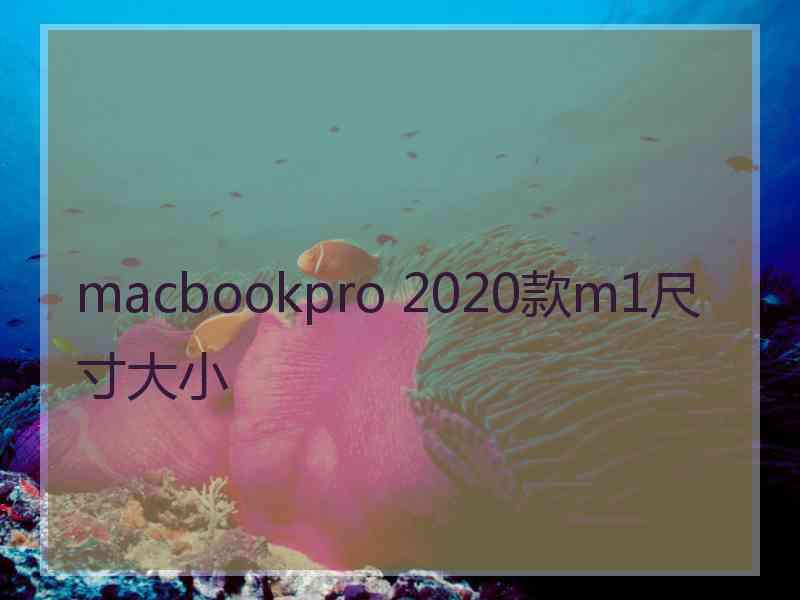 macbookpro 2020款m1尺寸大小