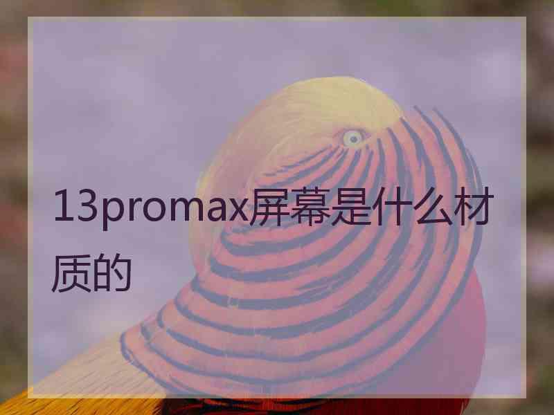 13promax屏幕是什么材质的