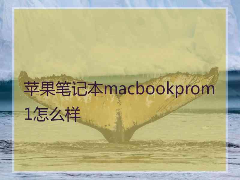 苹果笔记本macbookprom1怎么样