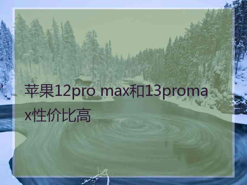 苹果12pro max和13promax性价比高