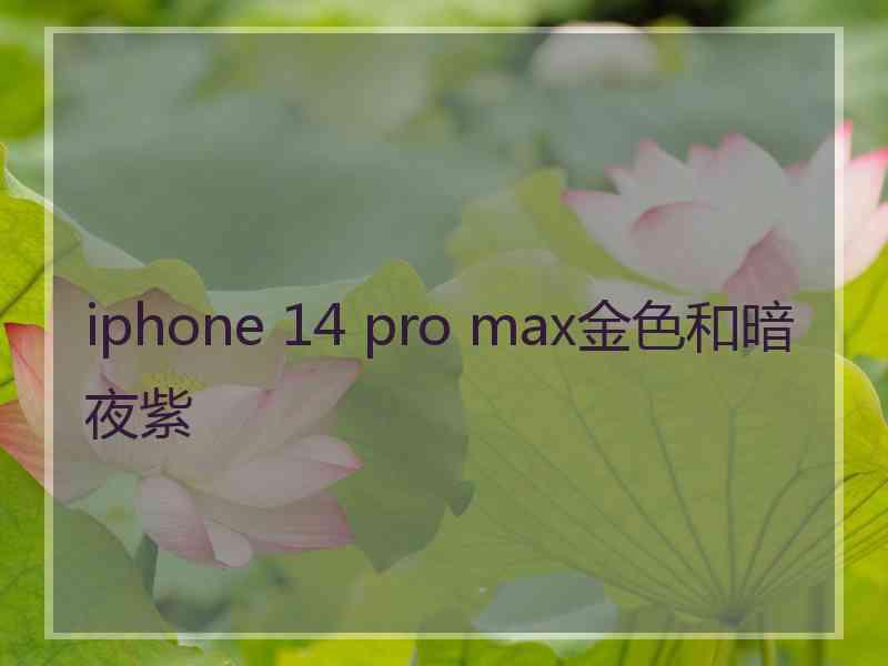 iphone 14 pro max金色和暗夜紫