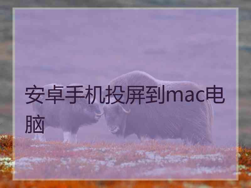 安卓手机投屏到mac电脑