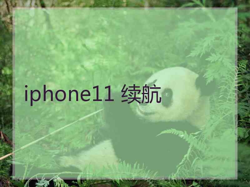 iphone11 续航