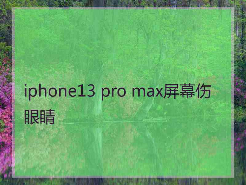 iphone13 pro max屏幕伤眼睛