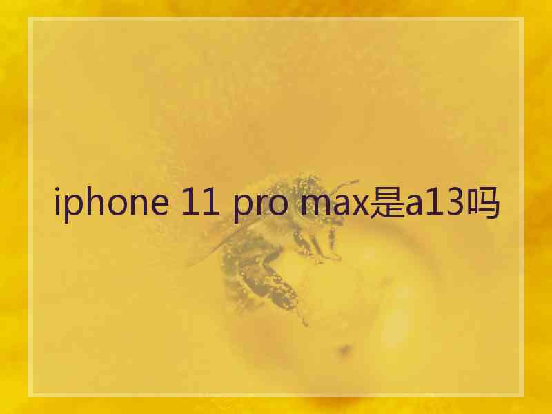 iphone 11 pro max是a13吗