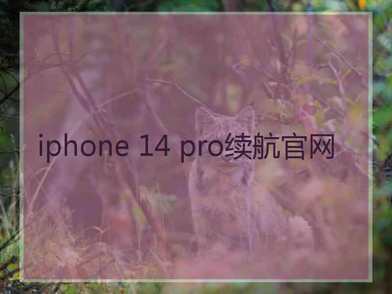 iphone 14 pro续航官网