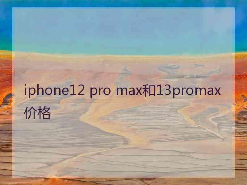 iphone12 pro max和13promax价格