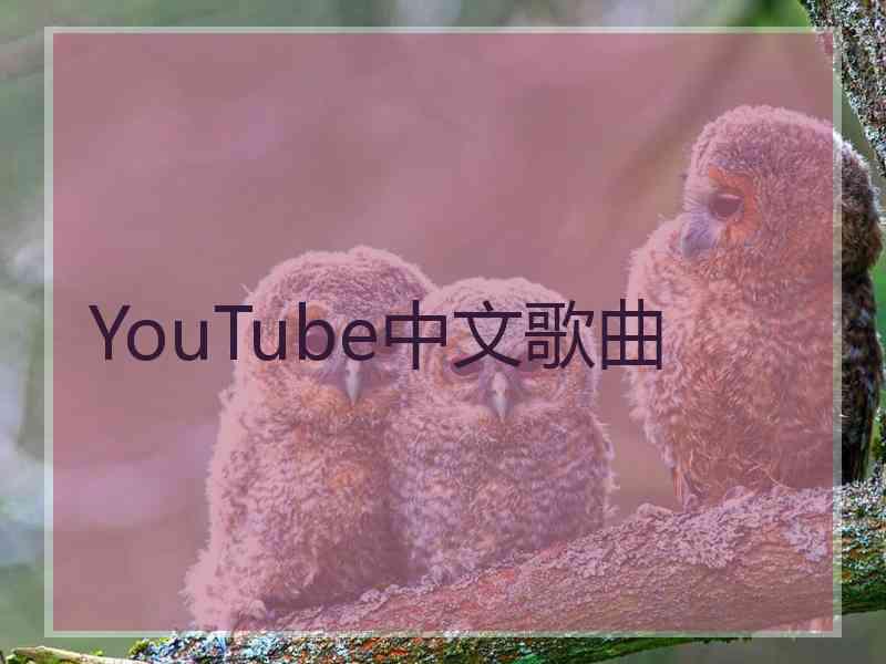 YouTube中文歌曲