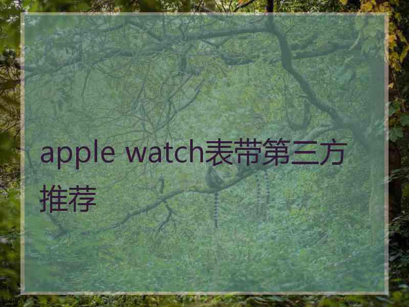 apple watch表带第三方推荐