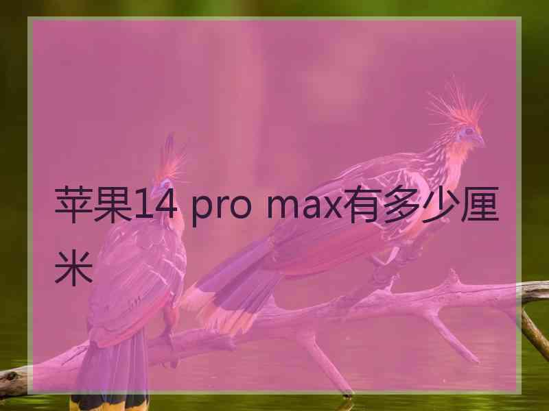 苹果14 pro max有多少厘米