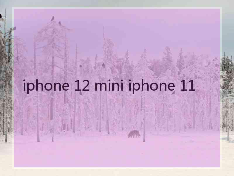 iphone 12 mini iphone 11