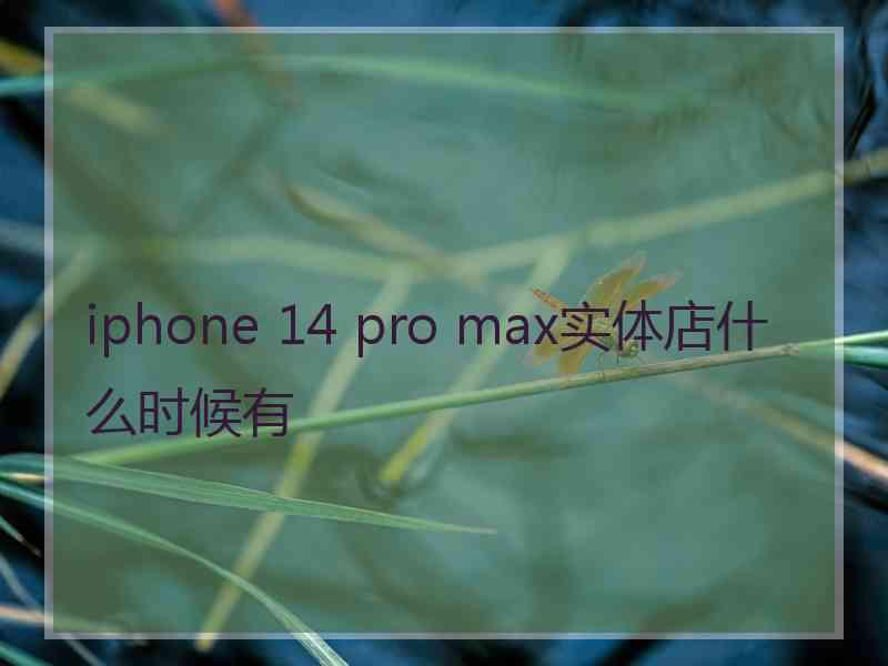 iphone 14 pro max实体店什么时候有