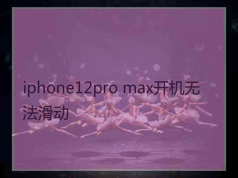 iphone12pro max开机无法滑动