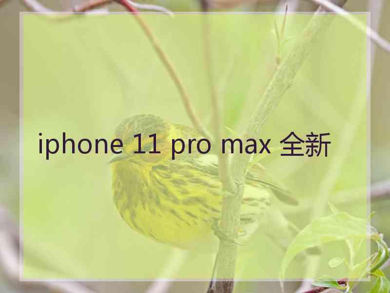 iphone 11 pro max 全新