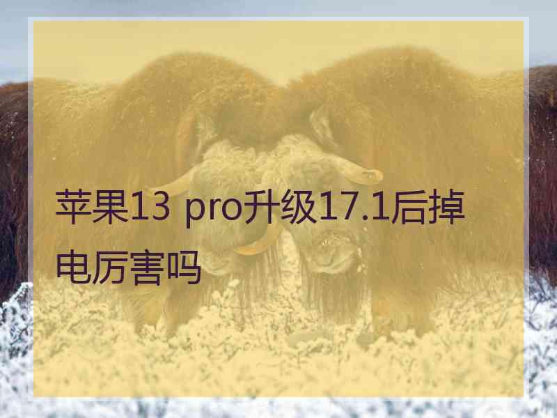 苹果13 pro升级17.1后掉电厉害吗