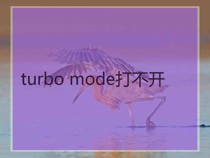 turbo mode打不开